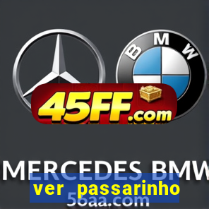 ver passarinho morto significado